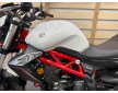 Benelli BN 302 2018