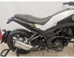 BENELLI LEONCINO 250 2019